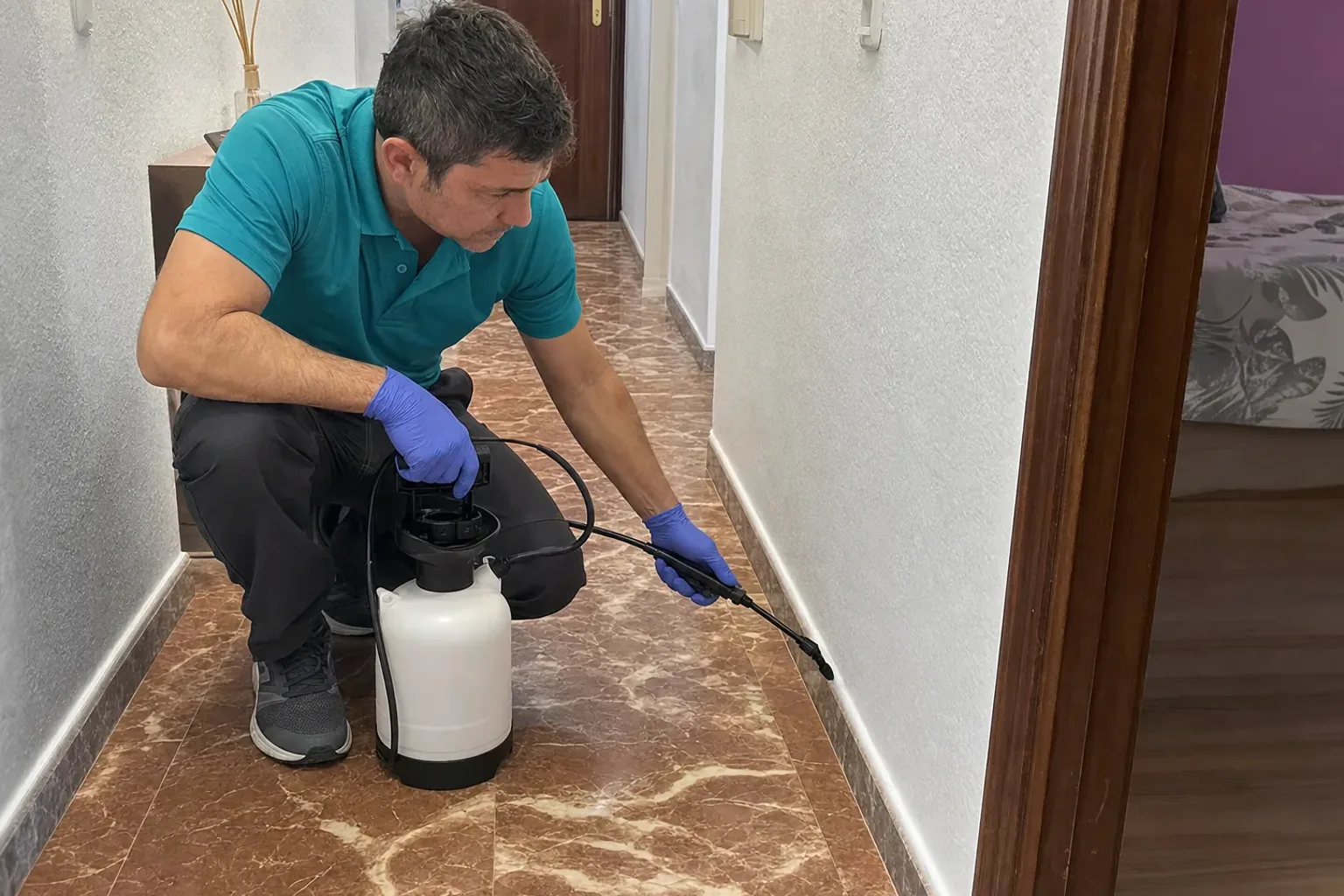 Picaduras al despertar: ¿chinches, pulgas o mosquitos?