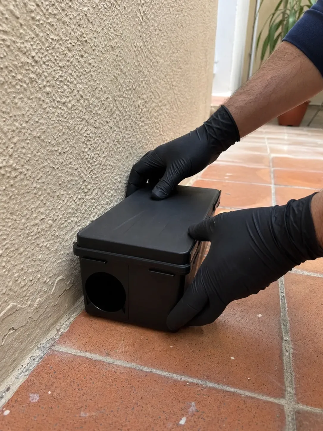 Instalación de un portacebos de seguridad para roedores